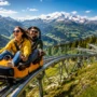 How Alpine Roller Coasters Enhance Visitor Experience in Theme Parks